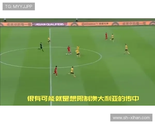 南特俱乐部的辉煌历程与法国足球文化深度探寻