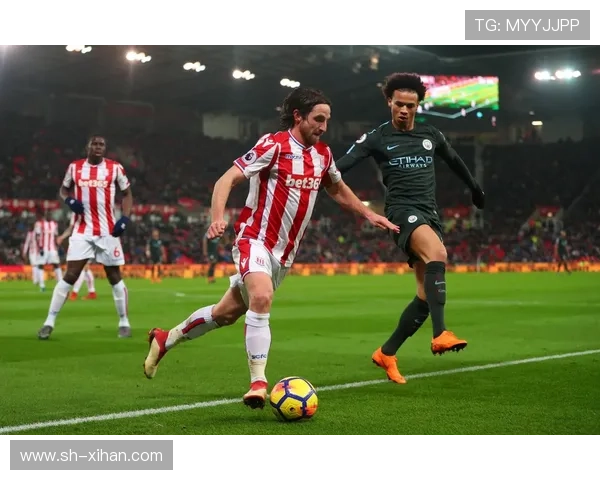 斯托克城俱乐部的崛起与挑战:从英超到英格兰足球的未来发展 斯托克城俱乐部的崛起与挑战:从英超到英格兰足球的未来发展