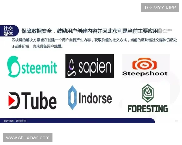 《2025年全球电竞产业发展趋势分析与热门游戏赛事预测》