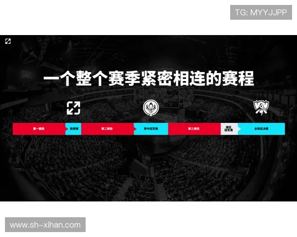 《2025年电竞产业发展报告：新兴赛事崛起与游戏开发商战略布局》
