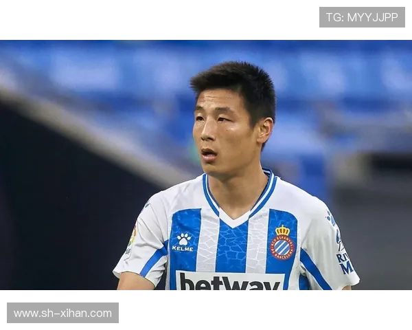 伯恩利足球俱乐部崛起之路从英冠到英超的挑战与机遇