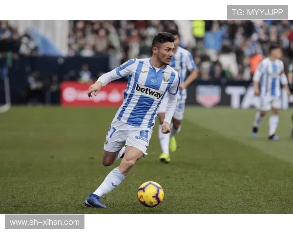 莱加内斯足球俱乐部发展历程与未来愿景分析 莱加内斯足球俱乐部发展历程与未来愿景分析